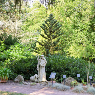 Entspannen im Bibelgarten beim Besuch in Friedensau