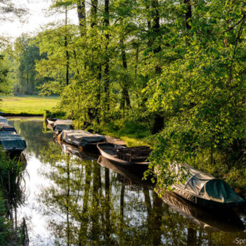 spreewald